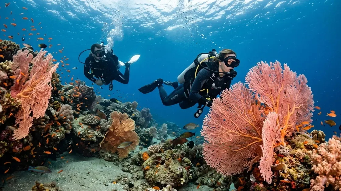 Scuba Diving and Snorkelling at La Herradura in Granada