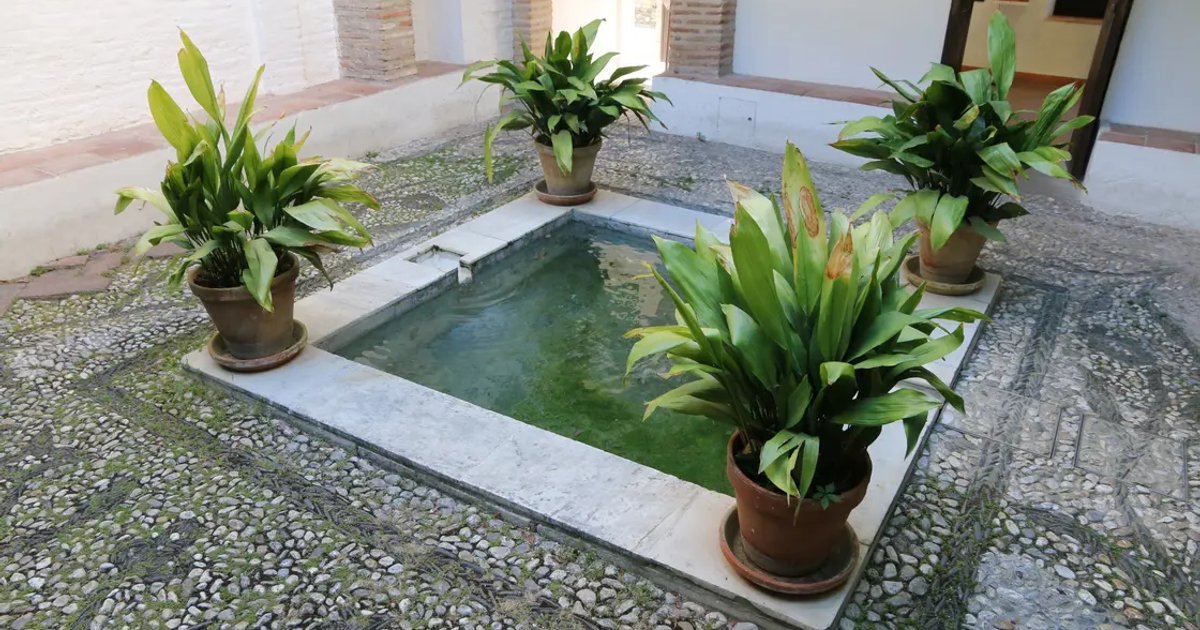 Hammam Al Ándalus Granada — Arabic Baths with Optional Massage